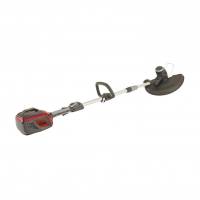 COUPE BORDURES MTR500LI